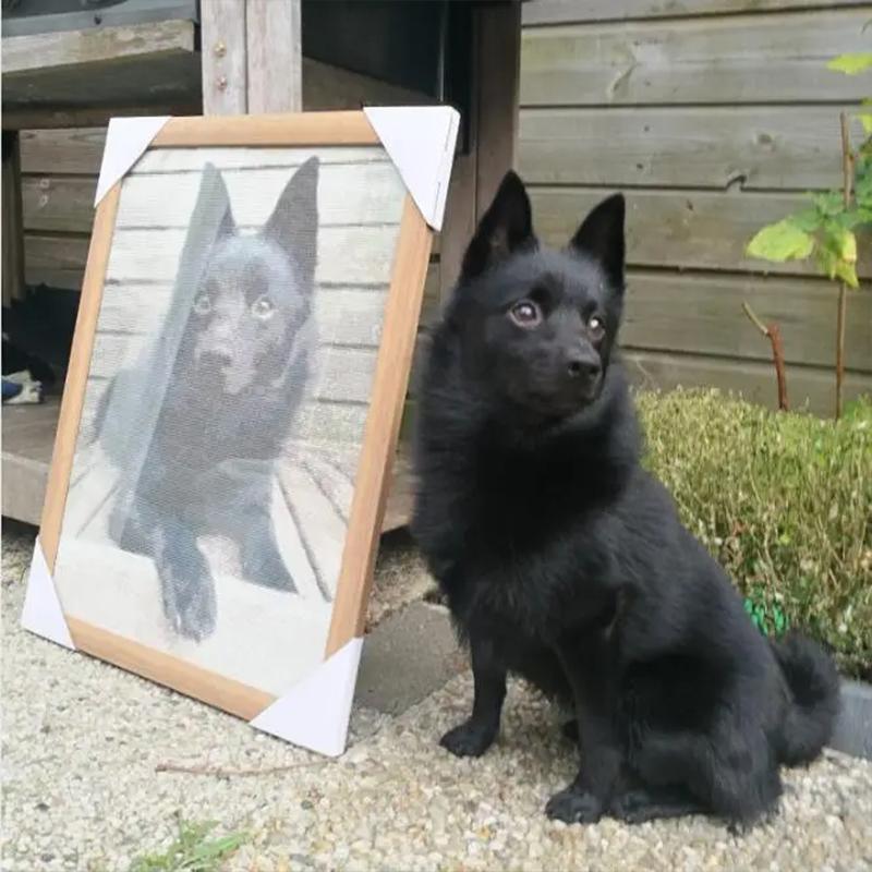 Photo Custom Diamond Painting Mosaic Kit Full Round Diamonds Embroidery 5D Cross Stitch Home Decoration Diy Gift