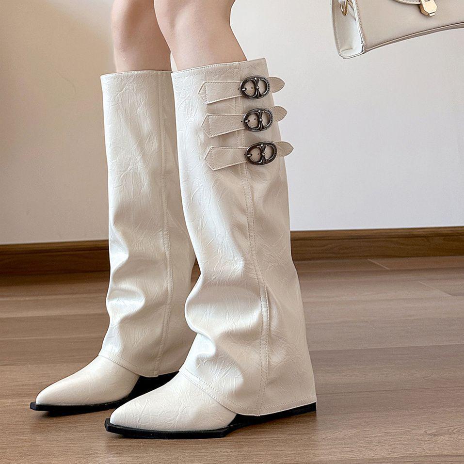 French Pointed Toe Thigh-High Wedge Heel Boots - Women's Elevated Pant Boots for Autumn/Winter Fashion, Over-the-Knee Wasteland Style.