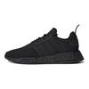 NMD_R1