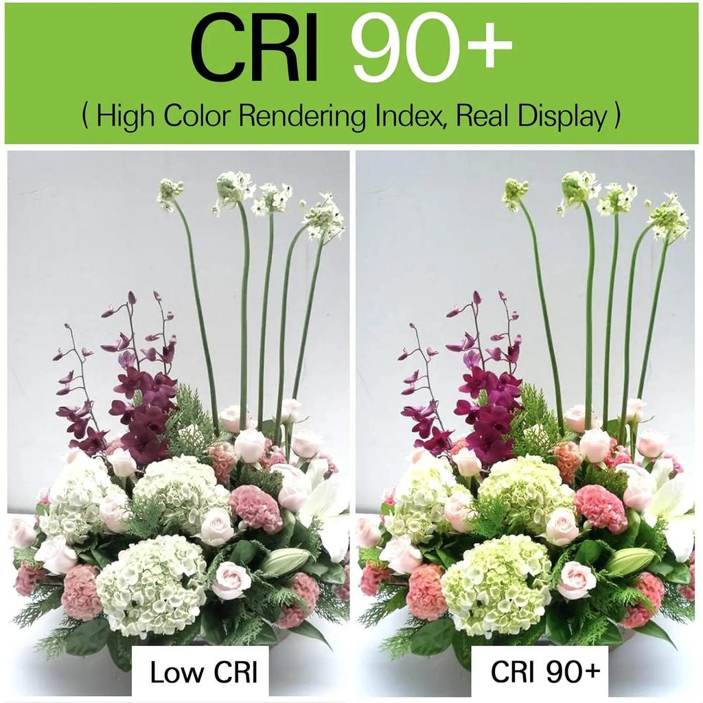 Ultra Slim Recessed Ceiling Lights 5W/7W/12W Warm/Natural/Cool White 3000K/4000K/6000K for Home Hotel Energy Efficient Lighting