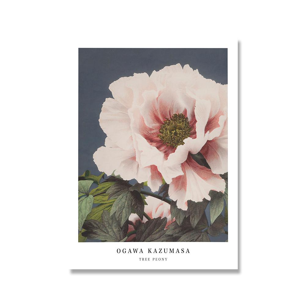 

Огава Казумаса выставочный постер красивый лотос волосатый пион ирис настенный холст цветы художественные принты винтажные фотографии фотографии 21x30cm No Framed