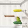 U-shape Bird Grinding Stand Bite-Resisting Bird Teeth Chew Pole Parrot Rope Perch  Small Parrots