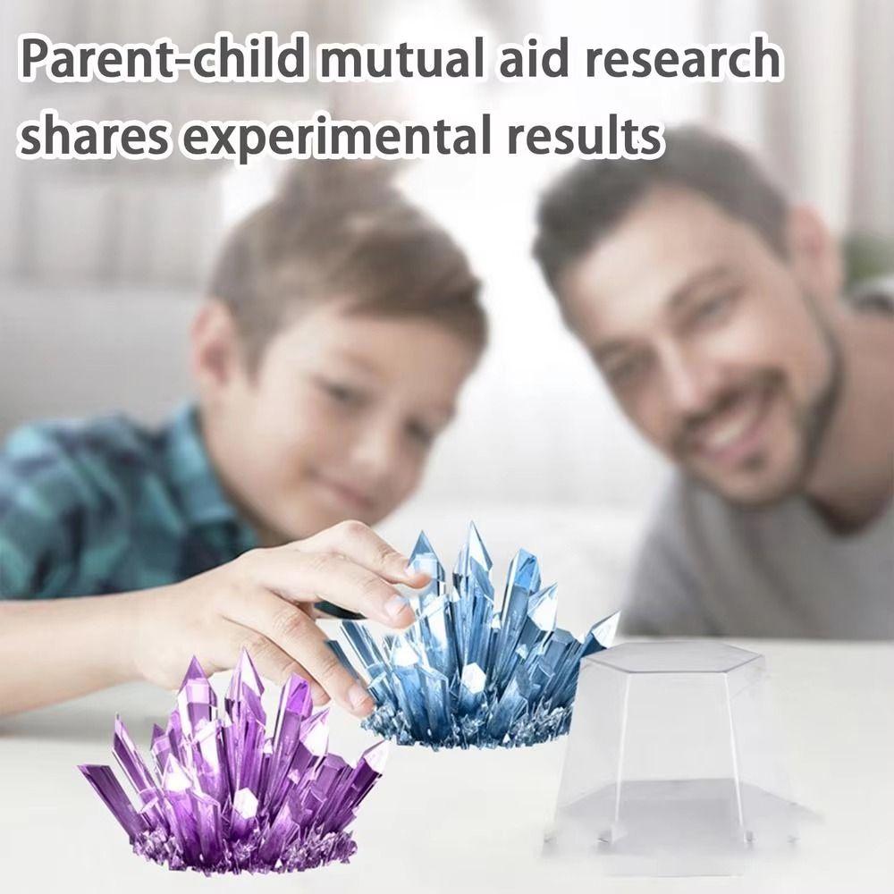 Farbige Kristalle Wissenschaftsexperimente Spielzeug Kristalle züchten Kristallherstellungs-Set Kinder