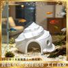 Vissen en zeedieren – Aquarium decoratie
