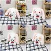 Kawaii Bunny Plush Small Bag With Inner Zipper Pocket For Street Fashion