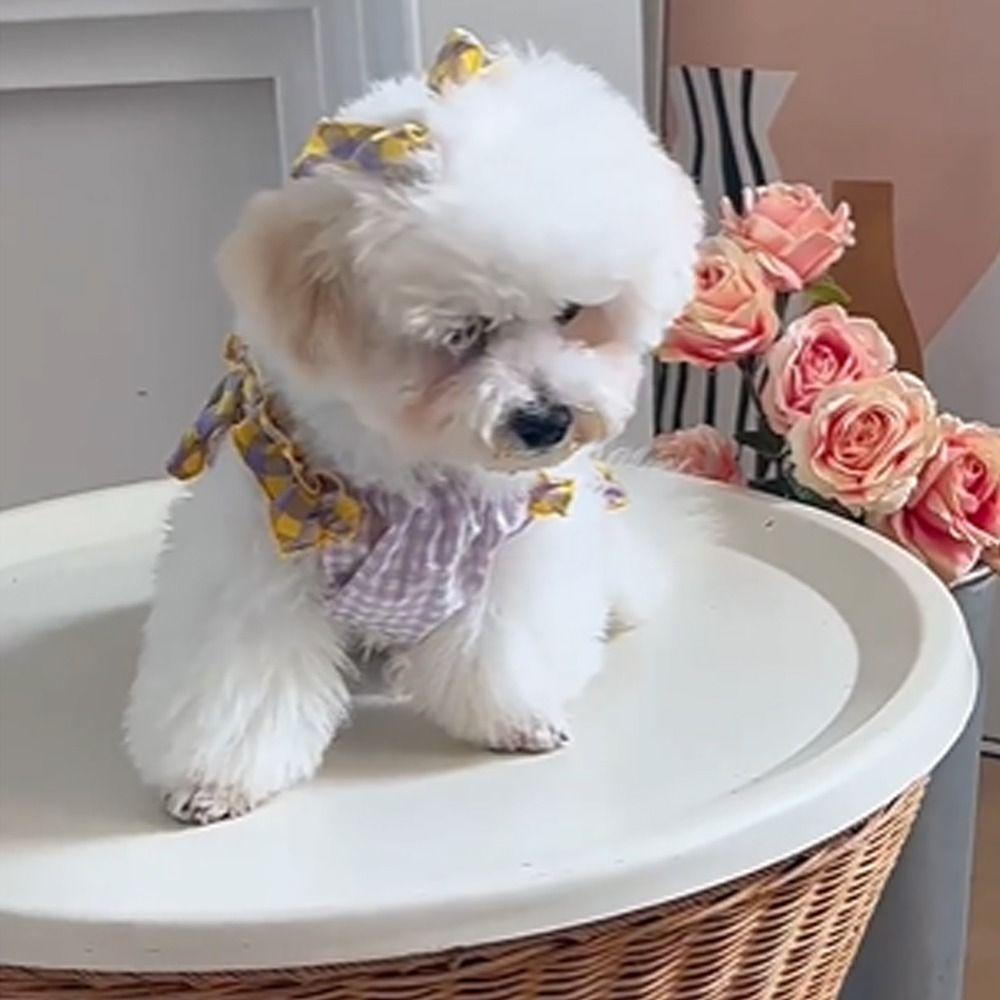 Soft Dog Clothes Cute Pet Summer Princess Skirt Comfortable Cat Dress  for Puppy Kittens