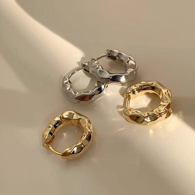 2025 Trendy Women's 925 Silver Needle Metal Stud Earrings - Elegant Internet Celebrity Style