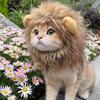 Funny Small Dog & Cat Hat: Cute Transformation Costume for Pets