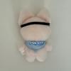 [USED] SKZOO AIN Pilot 10cm Foxiny Plush Toy