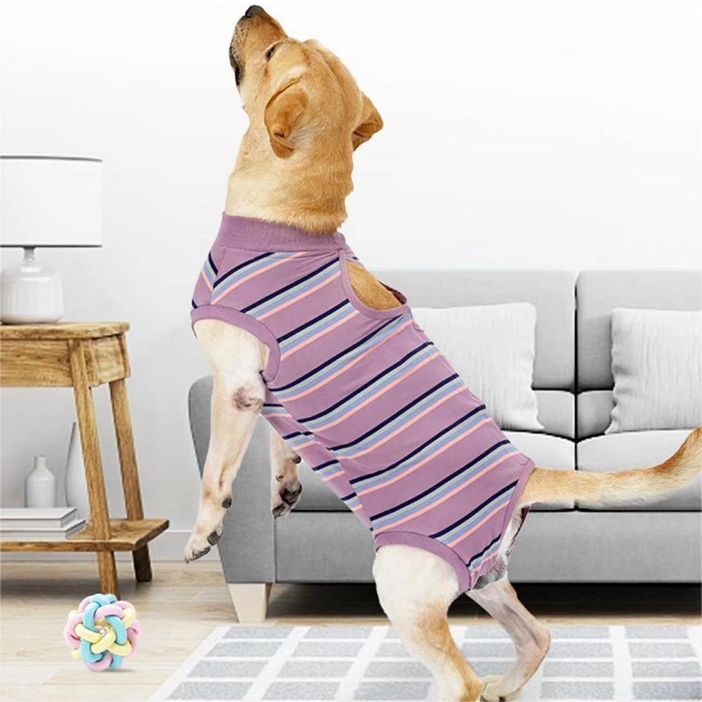 Breathable Dog Surgery Recovery Suit Soft Warm Postoperative Clothes  For Small Medium Large Dog