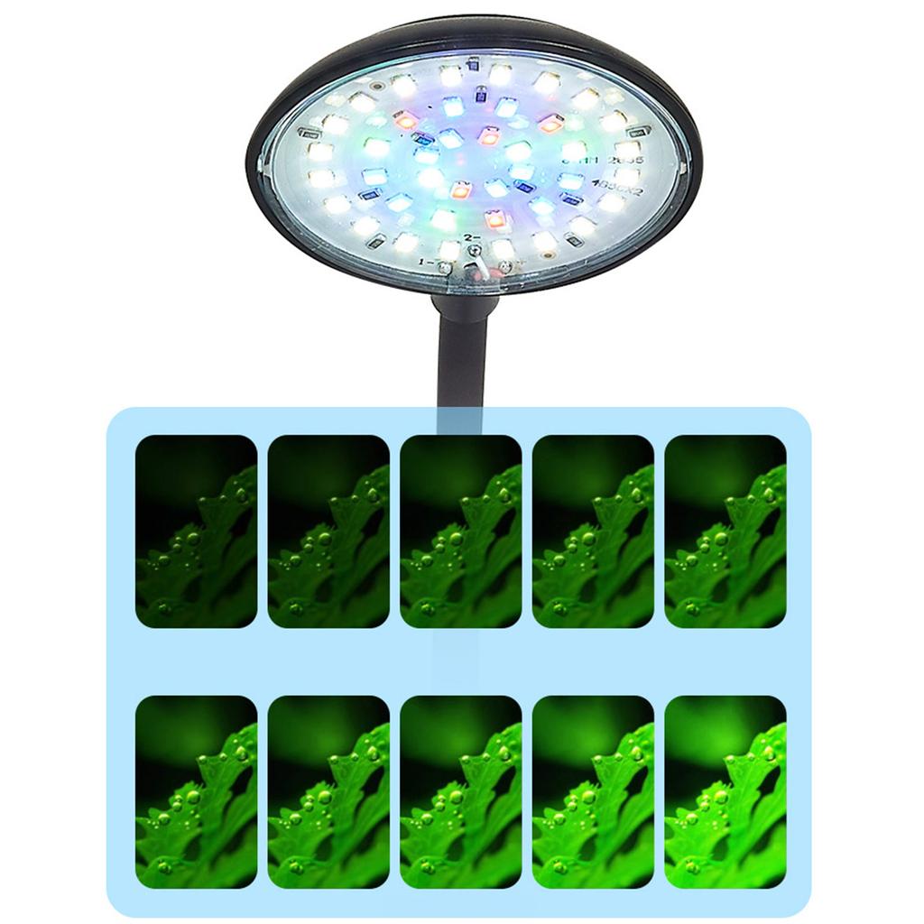 Aquarium LED Light 5W/7W LEDs for Saltwater Fish Tanks Clip-on Coral Tanks Aquarium Light with Clip Adjustable Hose