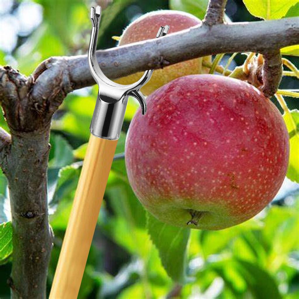 5 Pcs Alloy Fruit Tree Branch Crutch Plant Branch Support Decorative Branches Bracket Tree Support Device Tool Straightening Kit