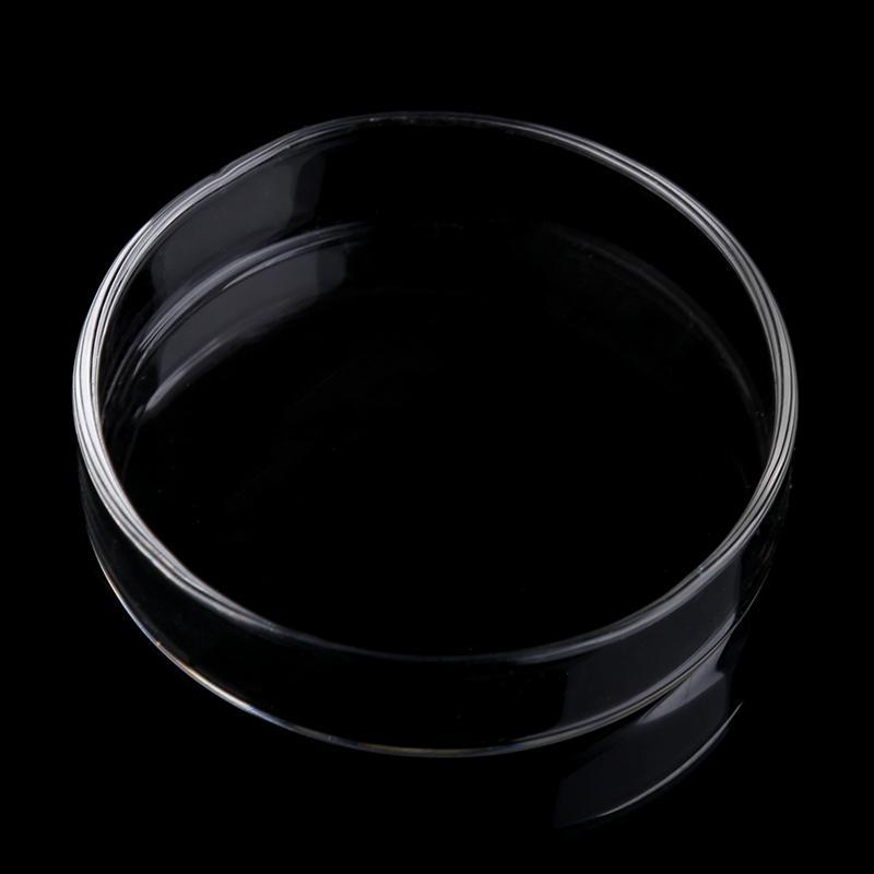 Shrimp Feeder Dish Clear Acrylic Bowls 2.4" x 0.6" Round Tray Aquarium Bowl