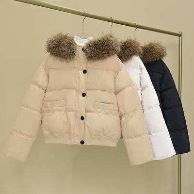 Winter New Japanese and Korean Style Small Student Casual Thickened Large Fur Collar Hooded Cotton Coat for Women