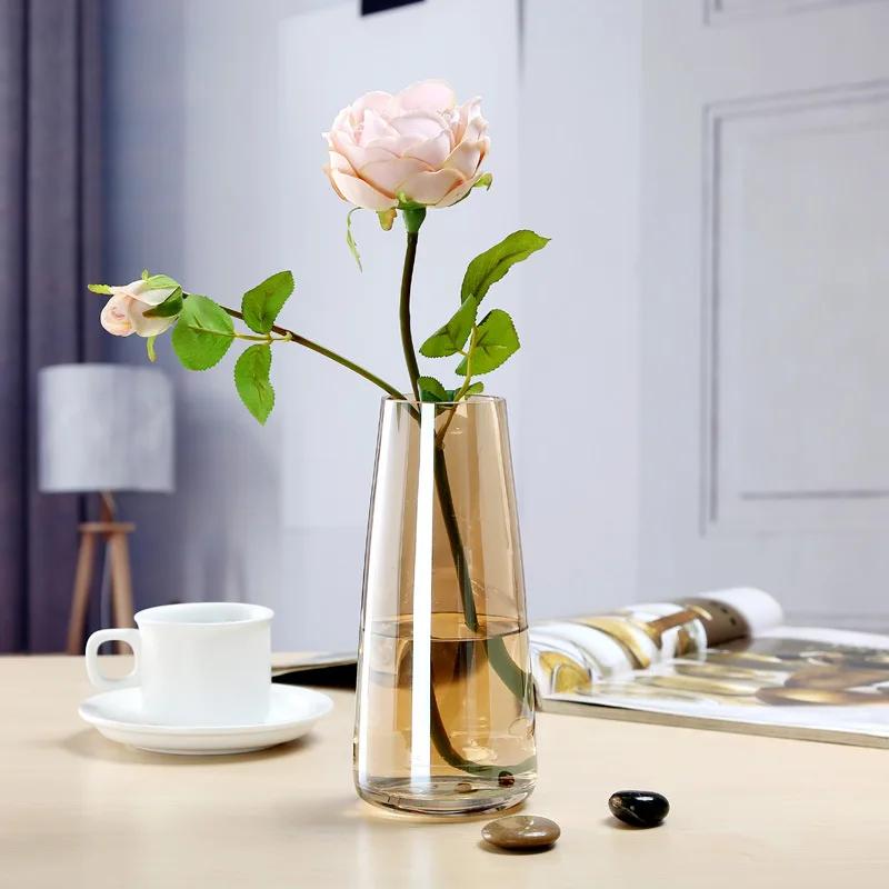 Nordic ins Aurora Symphony Glass Vase Transparent Flower Arrangement Water Care Simple Desktop Small Fresh Gold Vase