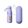 Compact Travel Umbrella Lightweight and Durable for Outdoor Use