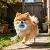 Dog Rope Toy Rubber Ring Dog Chew Toy with Braided Cloth Strips Dog Tug of War Rope Toy for Fetch Toss-and-Catch