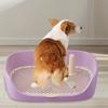 Pet Dog Toilet Portable Pet Lavatory with Protection Wall Potty Training Toilet with Grille Litter Box for Cat Puppy Small Medium Dogs