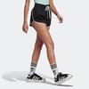 Adidas Originals Trefoil Contrast Trim Logo Drawstring Shorts Women Shorts Black HK5087
