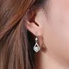 Long Water Drop Ear Hook Femininity Stud Earrings Korean Version Simple And Shiny Zircon Earrings Ear Jewelry Premium