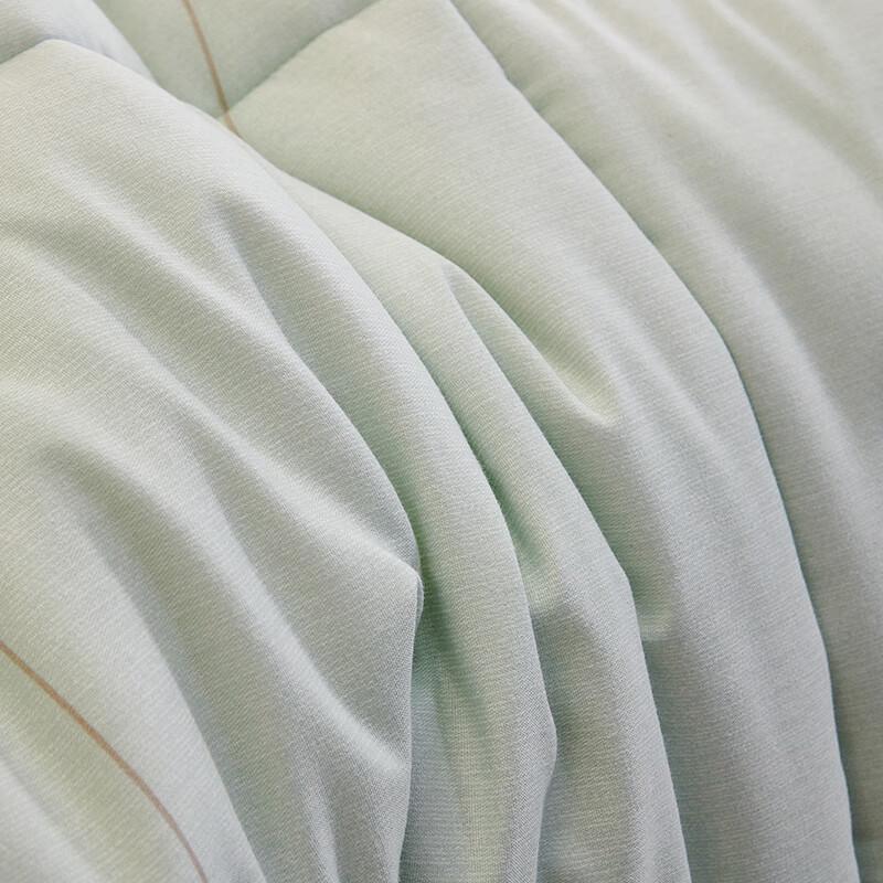 YEKEROLAN Elegant Floral Brushed Fiber Winter Quilt