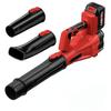 Portable Industrial Lithium Battery Hair Dryer & Dust Removal Blower, Large Air Volume