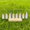 Acrylic Nail Shapes Display Board With Wood Base Mannequin Fingertips And Nail Shape Guide Static Artwork Sign For Salon Decor