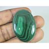 28X41X05 MM Natural Green Malachite Oval Cabochon Loose Gemstone 81Cts. C-1700