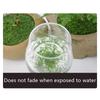 50/200g Artificial Moss For Decorating, Artificial Moss Decoration Moss For Crafts, Art Moss, Fake Decorative Moss For Aquarium