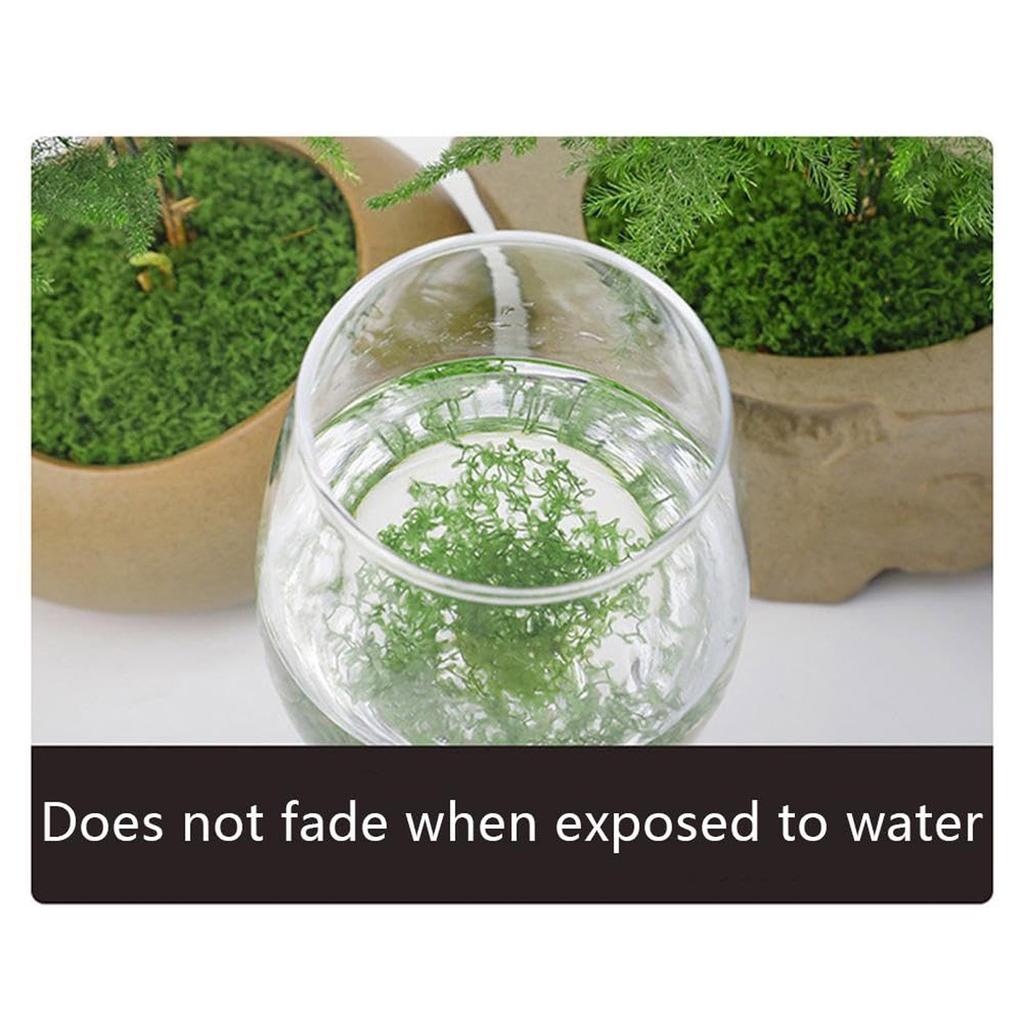 50/200g Artificial Moss For Decorating, Artificial Moss Decoration Moss For Crafts, Art Moss, Fake Decorative Moss For Aquarium
