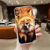 UP4 Animal Raccoon Fox Phone Case for LG K22 K30 K40 K40S K41 K42 K50 K50S K51 K51S K52 K61 K62 K71 K92 Q60 Q61 V40 V50 V60