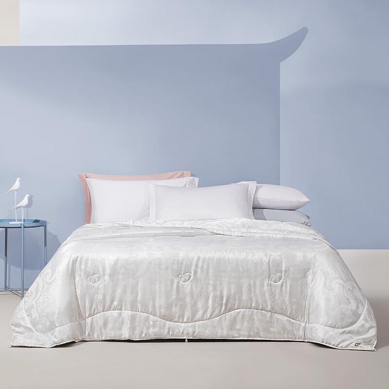 

Ciyun Jinyun Nylon Summer Quilt