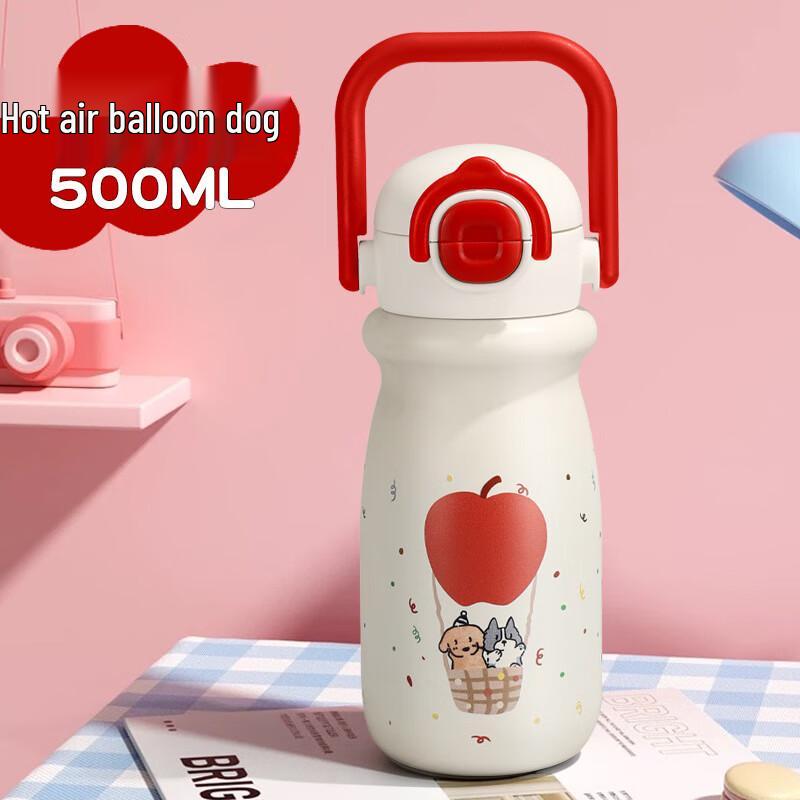 MRSIKEY 316 Stainless Steel Insulated Straw Bottle