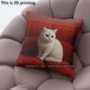 Cute Cat Printed Square Throw Pillow Cases Pattern Cushion Cover Suitable For Sofa Bedroom Car Pillow Cover