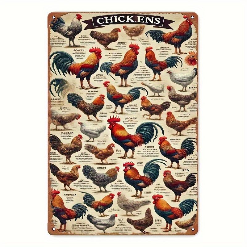 2D Flat, 2D Wall Art- 1pc, Complete Illustration of Chicken Breeds- Vintage Metal Tin Painting, Artistic Decoration, Easy Instal