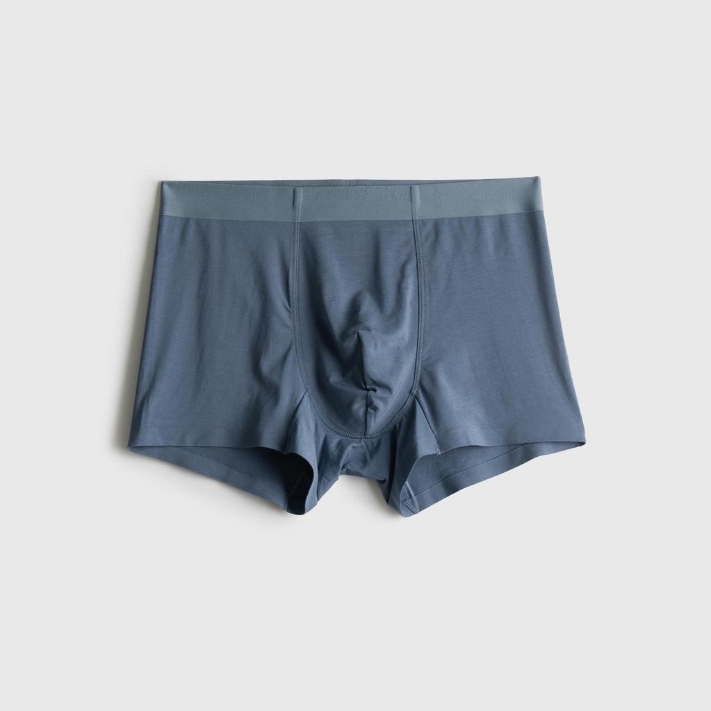 Herren Nahtlose Boxer Briefs: Maulbeerseide & Modal, Mittelhohe Taille, Unifarben