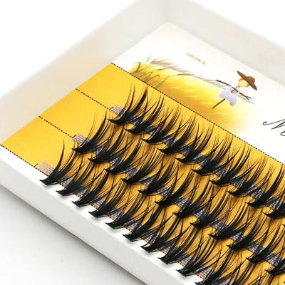 20D/30D Nerz Wimpern 1 Box/60 Bundles Natürliche Wimpern verlängerung 3D Russland Individuelle Wimpern Cluster Make-Up-Tools Wimpern Zilien