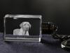 Black and Tan Coonhound - Portachiavi in cristallo con foto del cane, portachiavi illuminato, regalo unico del marchio Art-Dog