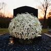 Calla Lily Artificial Flower Bouquet Mixed Calla Lily Baby's Breath Tulip