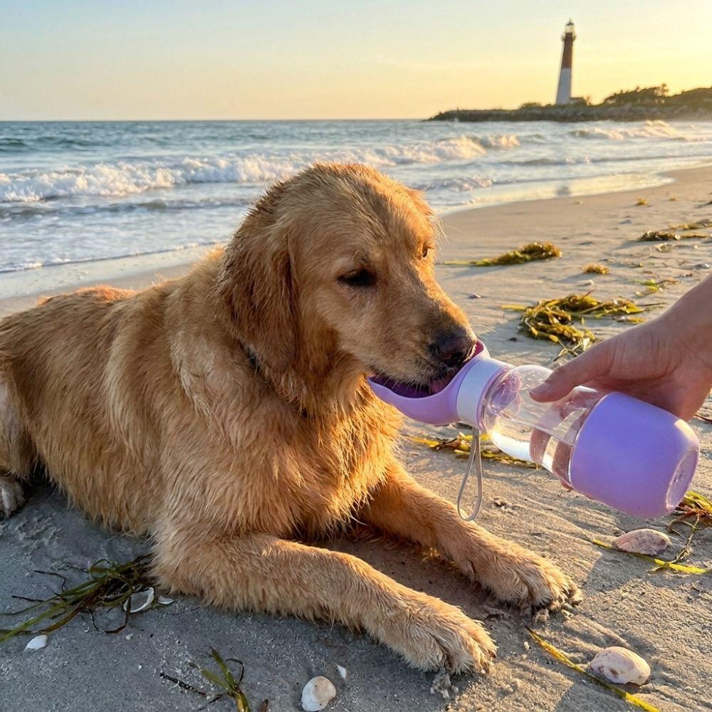 Multi-functional Cat Ear Shaped Pet Water Bottle 2 In 1 Dog Water Bottle Drinking Bowl Camping