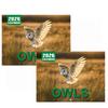 Owl Wall Calendar 2026 Featuring Diverse Owl Patterns Annual Monthly Planning Calendar Interesting Gift For Home Or Office Use