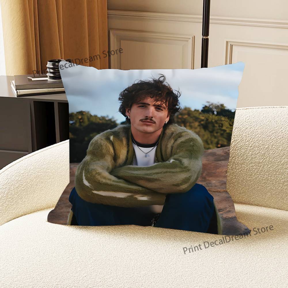 Singer B-Benson B-BooneS Pillow Case Ultra Soft Skin Friendly Fabric Cloud Like Comfort & Concealed Zipper