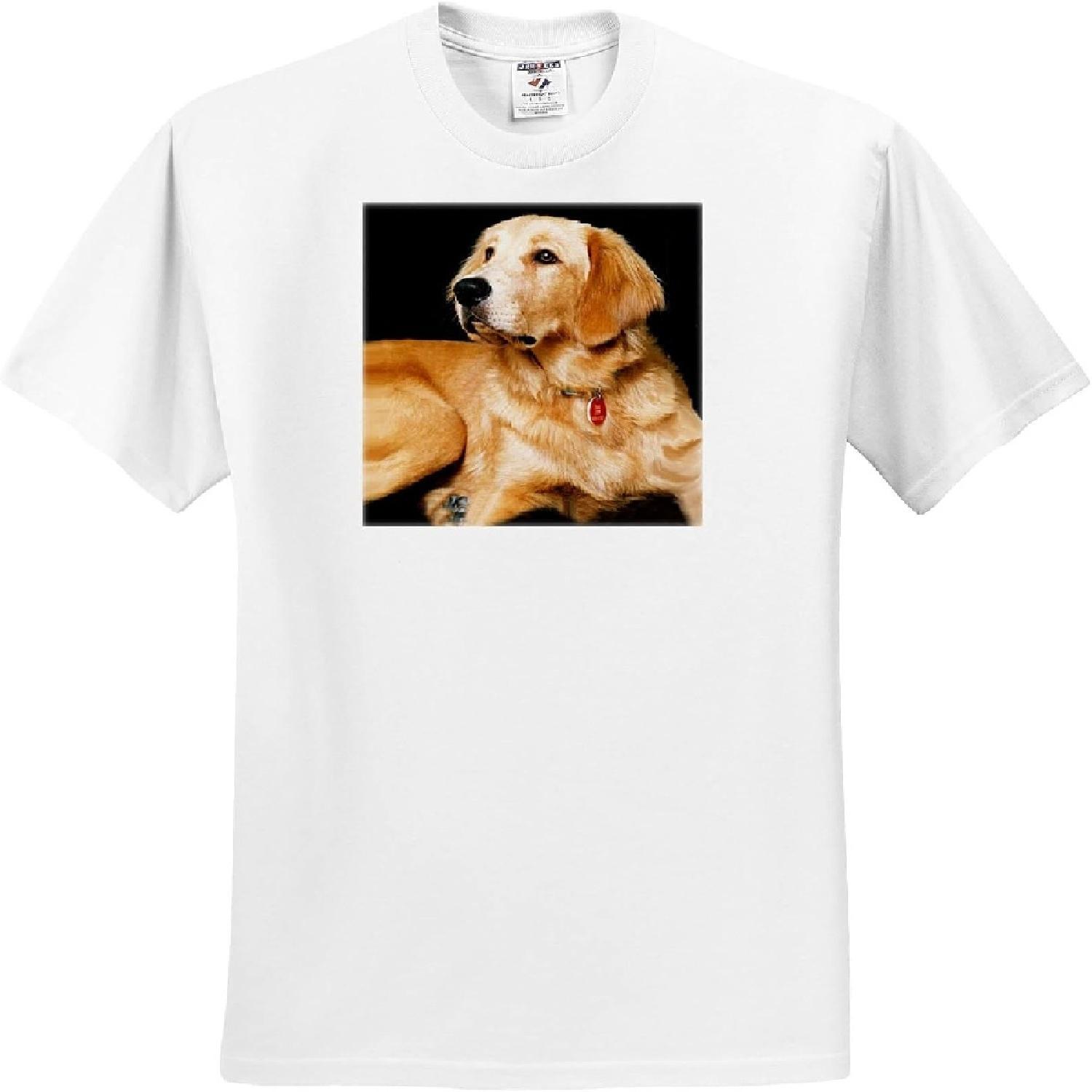 3dRose, Golden Retriever, T-Shirt(1) XXXXXL белый