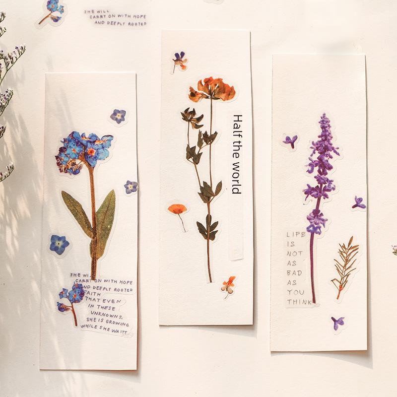 Mr. Paper PET Flower Series 2 Stickers: Fresh Floral DIY Decorations