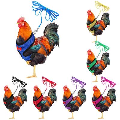 Lina z kurczaka ze smyczą i pasującym paskiem, wygodna kamizelka dla kur