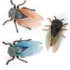 Simulation Cicadas Toys Realistic Lifelike Insect Model Children's Cognitive Golden Cicada Toys Microscopic Decorative Ornaments