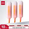 Deli Fluorescent Highlighter Pen Set