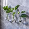 4pcs/set Self-Watering Plant Hydroponic Vase Transparent Hanging Fish Tank  Living Room
