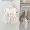Girls Summer Birthday Party Princess Dress Sweet Bow Tulle Sleeveless Vest Dress For Kids Special Occasions