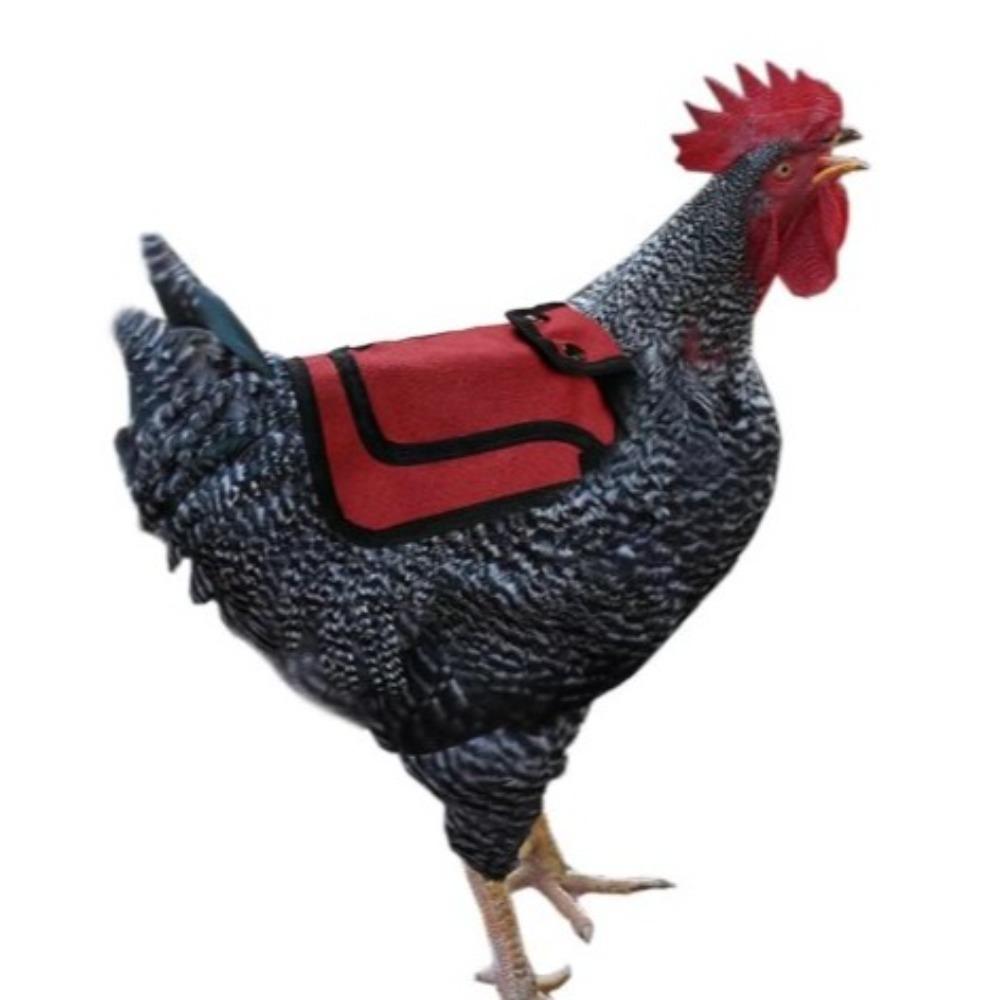 600D Chicken Saddles Adjustable Strap Hen Dress Keep Warm Hen Apron Pet Clothes